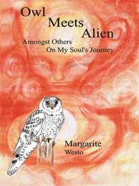 bokomslag Owl Meets Alien