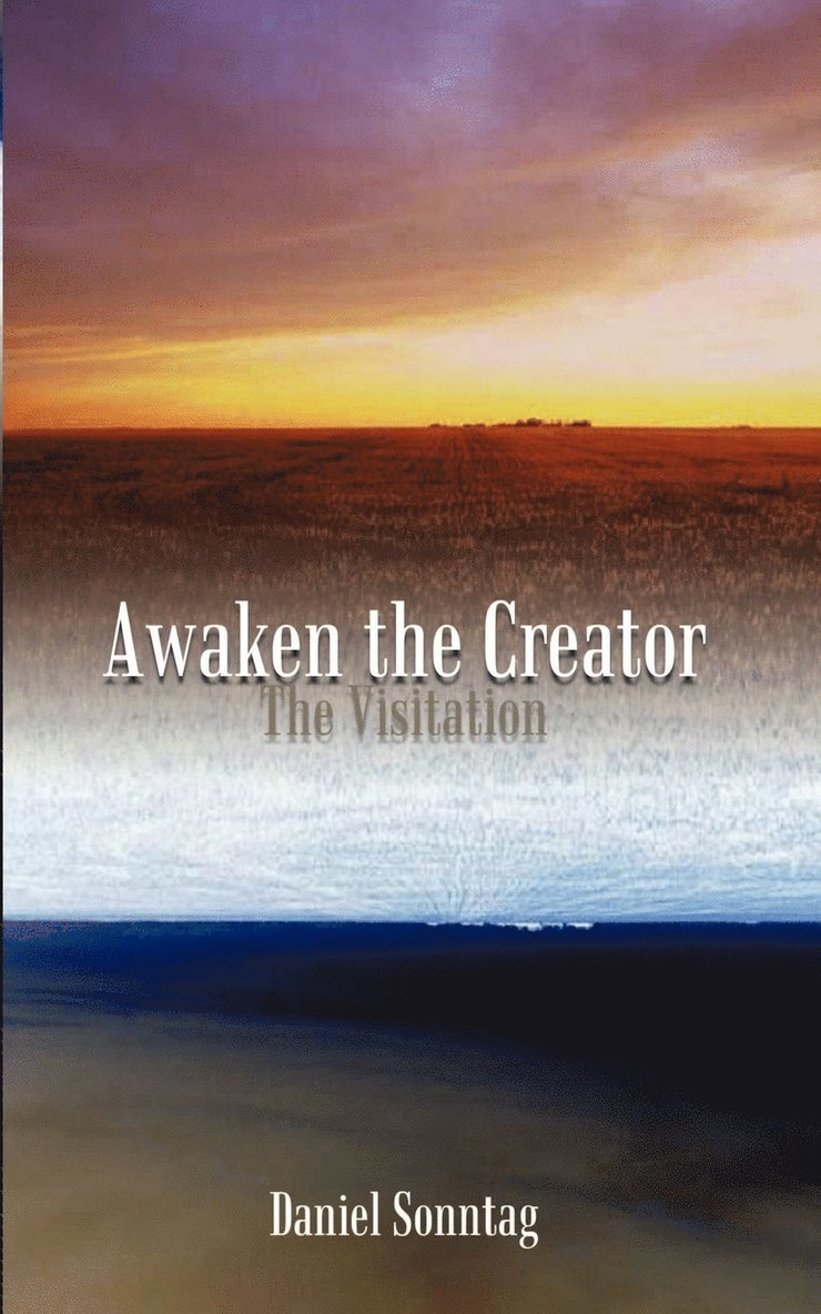 Daniel Sonntag - Awaken the Creator, Häftad