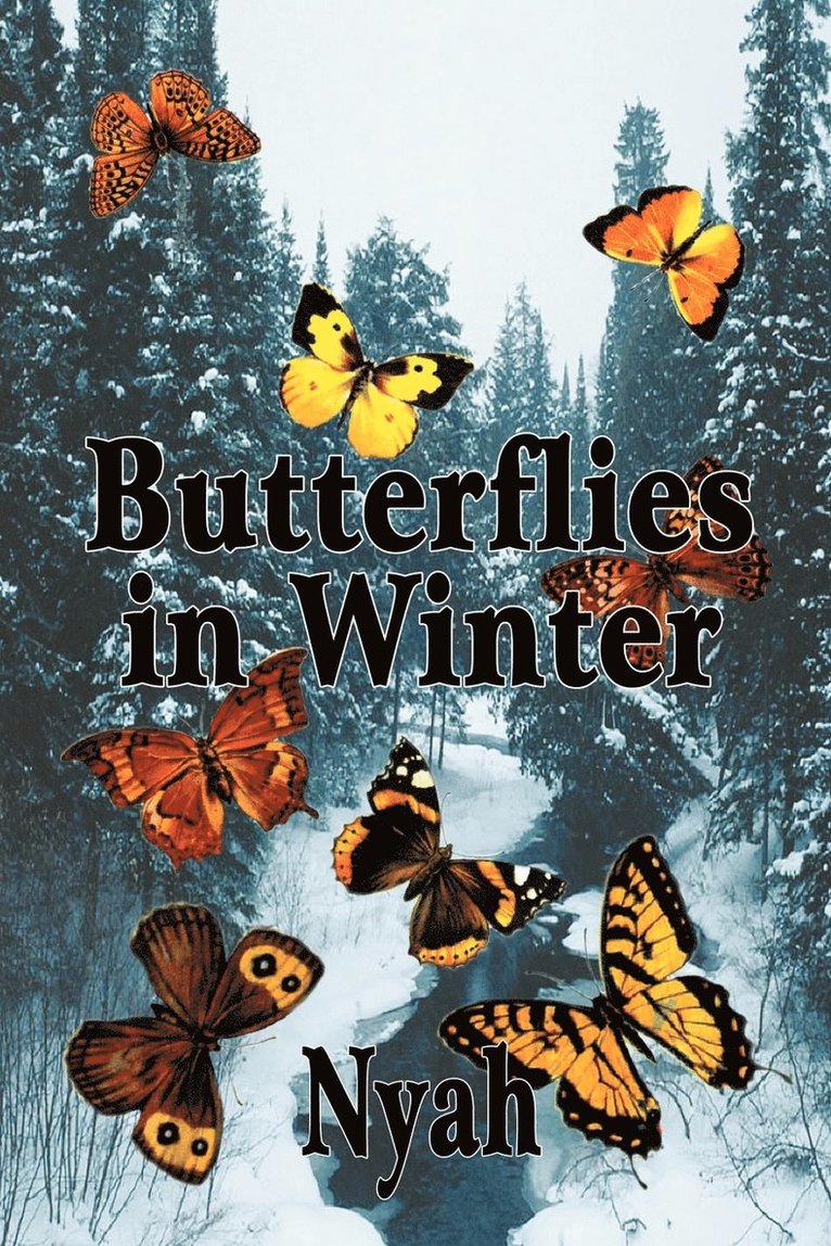 Butterflies in Winter 1