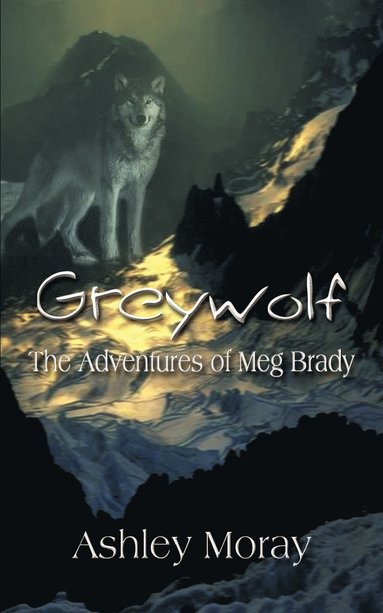 bokomslag Greywolf: the Adventures of Meg Brady