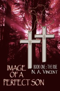 bokomslag Image of a Perfect Son: Book One: The Rise