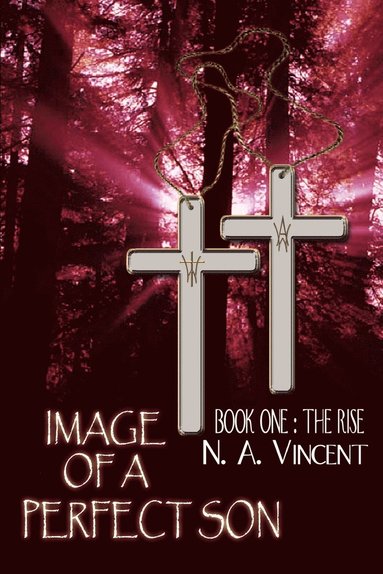 bokomslag Image of a Perfect Son: Book One: The Rise