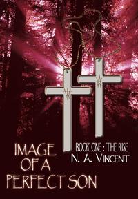 bokomslag Image of a Perfect Son: Book One: The Rise