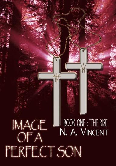 bokomslag Image of a Perfect Son: Book One: The Rise
