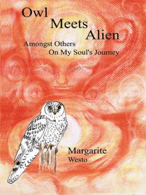 bokomslag Owl Meets Alien