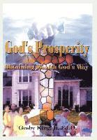 bokomslag God's Prosperity: Obtaining Wealth God's Way