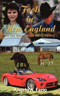 bokomslag Fools in New England: an Alec Black & Marie Quilby Mystery
