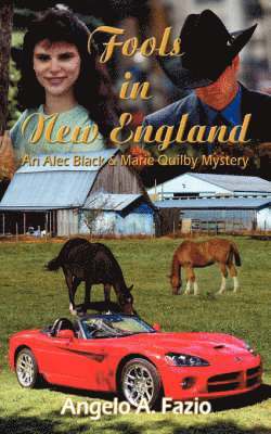 Fools in New England: an Alec Black & Marie Quilby Mystery 1