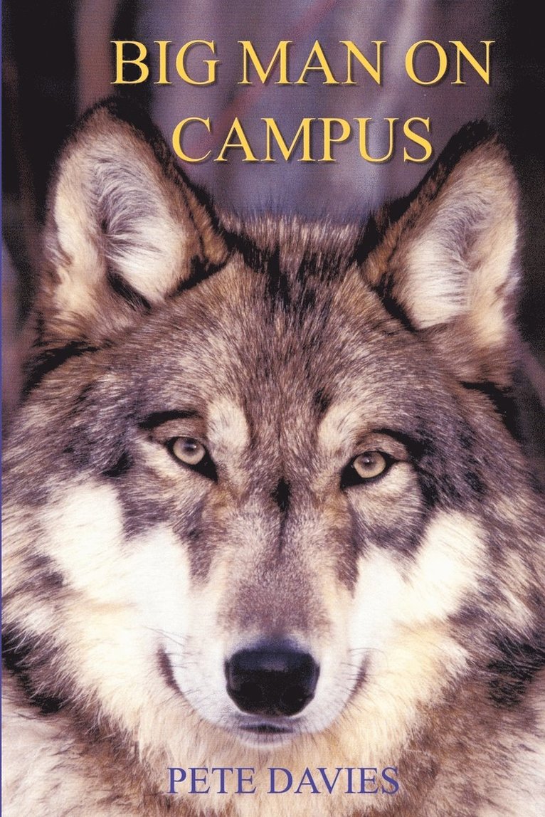 Pete Davies - Big Man on Campus, Häftad