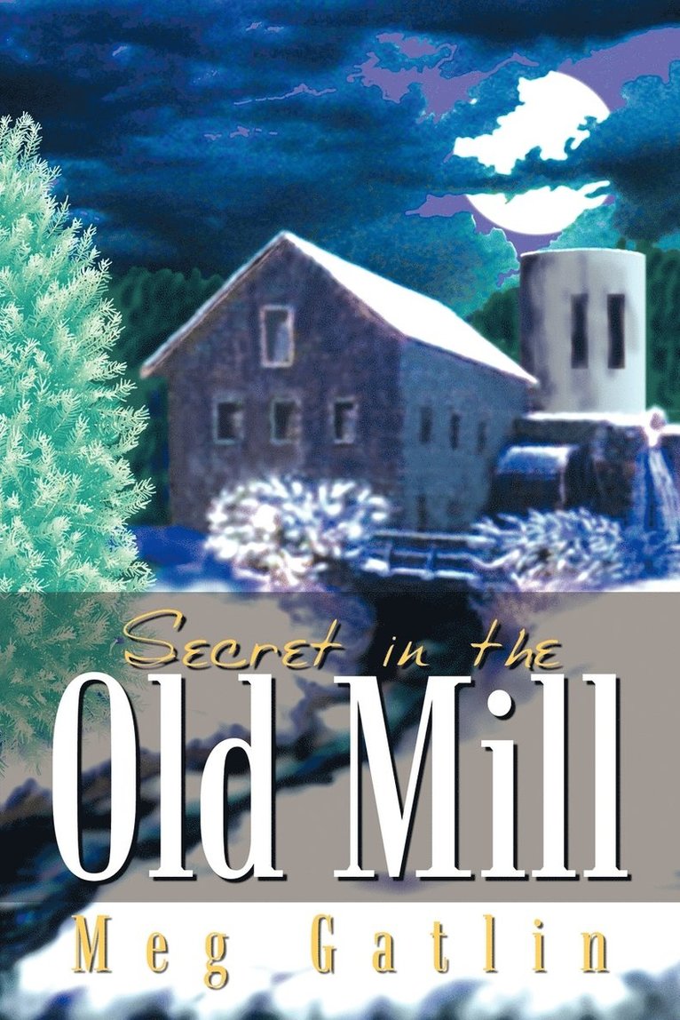 Meg Gatlin - Secret in the Old Mill, Häftad