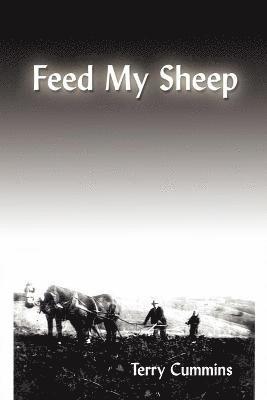 Feed My Sheep 1