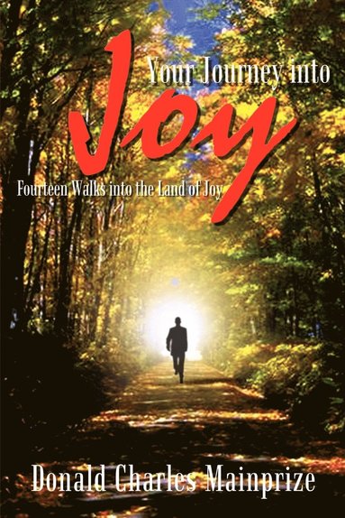 bokomslag Your Journey into Joy: Fourteen Walks into the Land of Joy