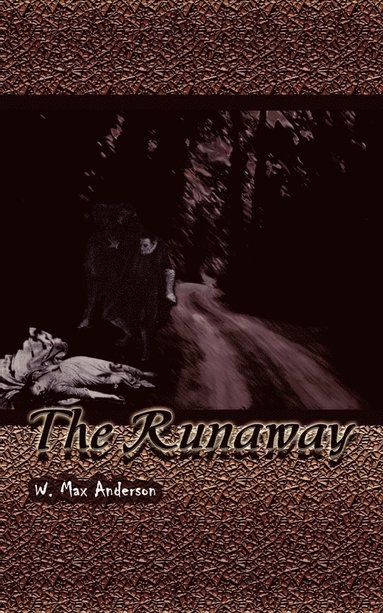 bokomslag The Runaway