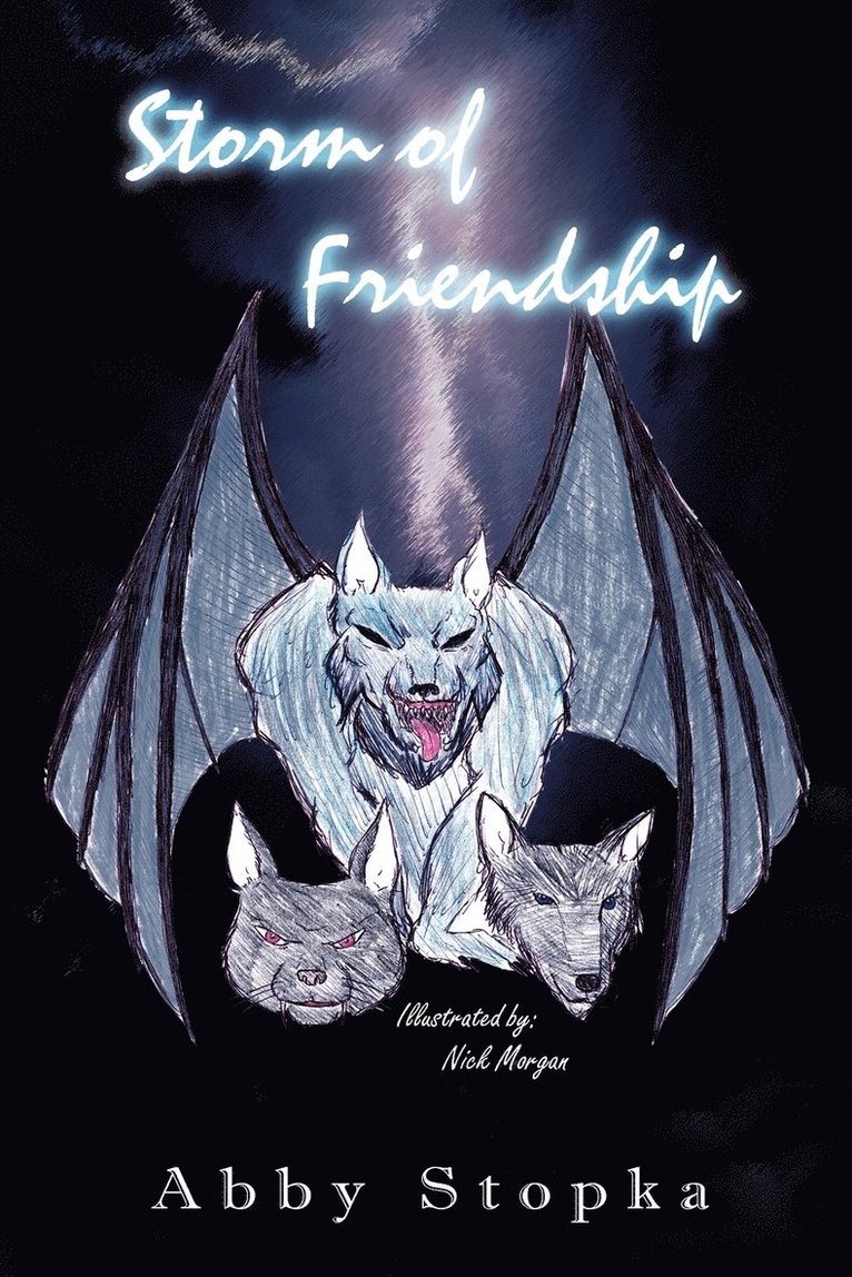 Abby Stopka - Storm of Friendship, Häftad