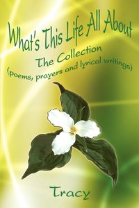 bokomslag What's This Life All about: the Collection (Poems, Prayers and Lyrical Writings)