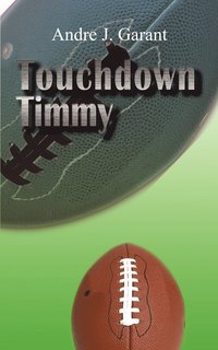 bokomslag Touchdown Timmy