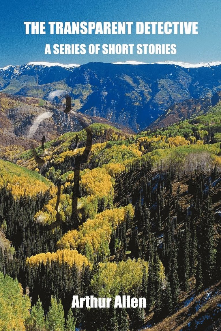 Arthur Allen - Transparent Detective: A Series of Short Stories, Häftad