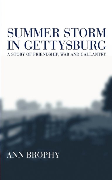 bokomslag Summer Storm in Gettysburg: A Story of Friendship, War, and Galantry