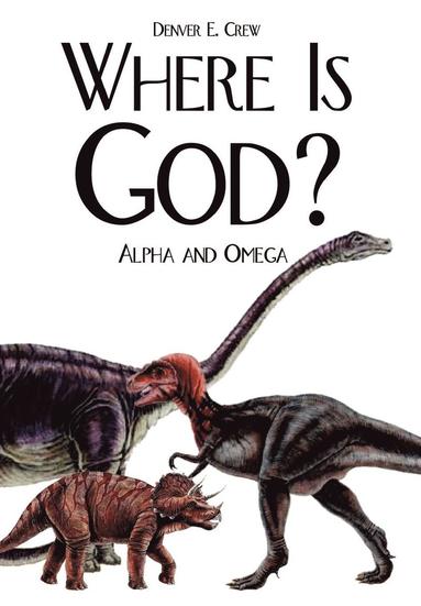 bokomslag Where is God?: Alpha and Omega