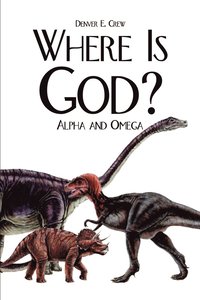 bokomslag Where is God?: Alpha and Omega