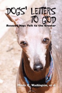 bokomslag Dogs' Letters to God