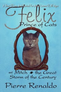 bokomslag Felix Prince of Cats and Mitch the Great Storm of the Century