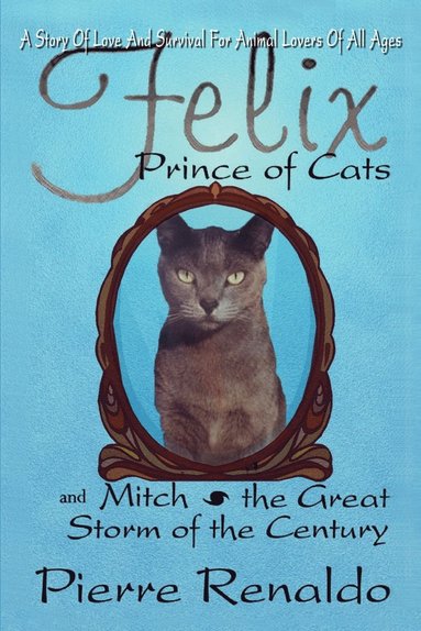 bokomslag Felix Prince of Cats and Mitch the Great Storm of the Century