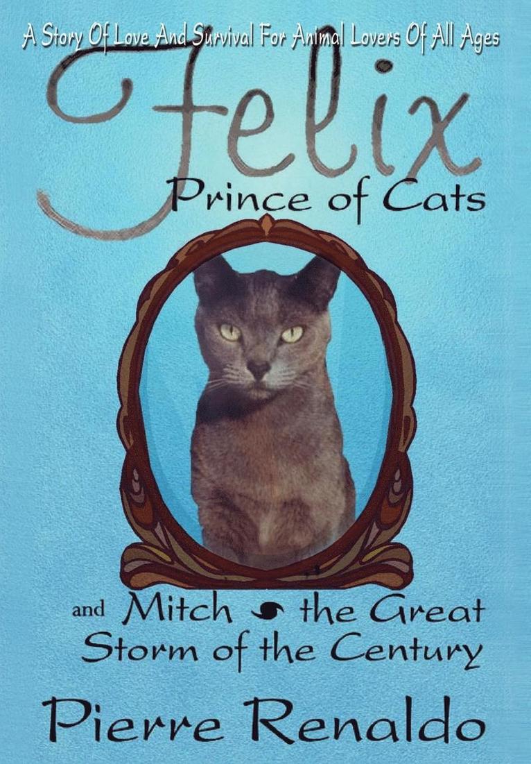 Felix Prince of Cats and Mitch the Great Storm of the Century 1