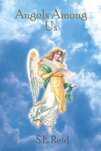 bokomslag Angels Among Us