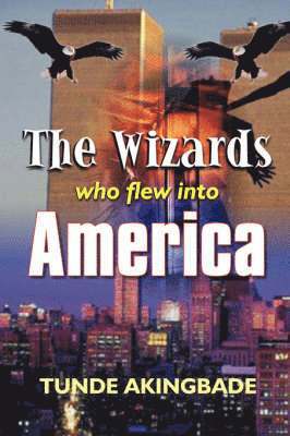 bokomslag Wizards Who Flew into America