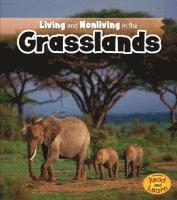 bokomslag Living and Nonliving in the Grasslands