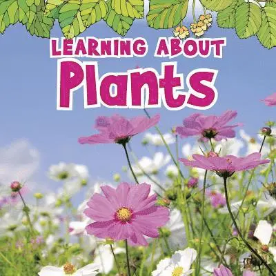 Catherine Veitch - Learning about Plants, Häftad. Tillgänglighet: Lägg i varukorg