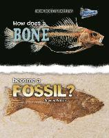 Melissa Stewart - How Does a Bone Become a Fossil?, Häftad
