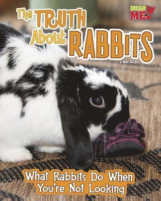 Mary Colson - The Truth about Rabbits: What Rabbits Do When You're Not Looking, Inbunden