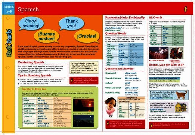 Spanish FlashCharts