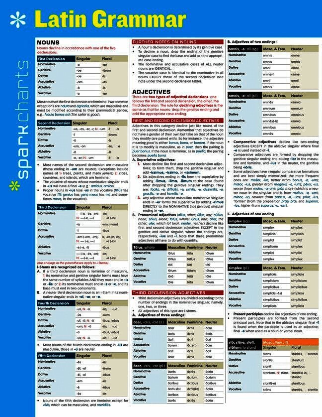 Latin Grammar SparkCharts