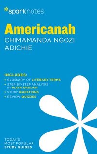 bokomslag Americanah by Chimamanda Ngozi Adichie
