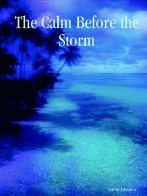 Stormy Johnston - Calm Before the Storm, Häftad