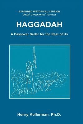 bokomslag Haggadah A Passover Seder for the Rest of Us