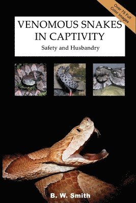 bokomslag Venomous Snakes in Captivity: Safety and Husbandry