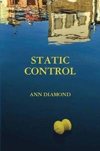 bokomslag Static Control