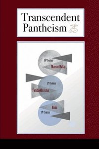 bokomslag Transcendent Pantheism
