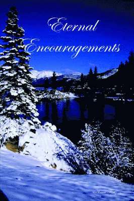 Aimee Firtz - Eternal Encouragements, Häftad