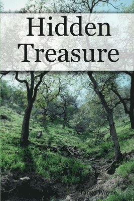 Hidden Treasure 1