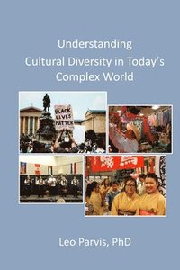 bokomslag Understanding Cultural Diversity in Today's Complex World
