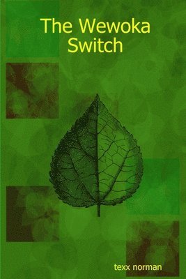 The Wewoka Switch 1