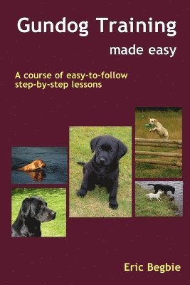 bokomslag Gundog Training Made Easy