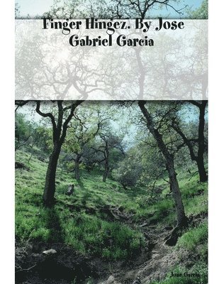 Jose Garcia - Finger Hingez. By Jose Gabriel Garcia, Häftad
