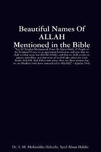 bokomslag Beautiful Names of ALLAH Mentioned in the Bible