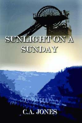 Allan Jones - Sunlight on A Sunday, Häftad